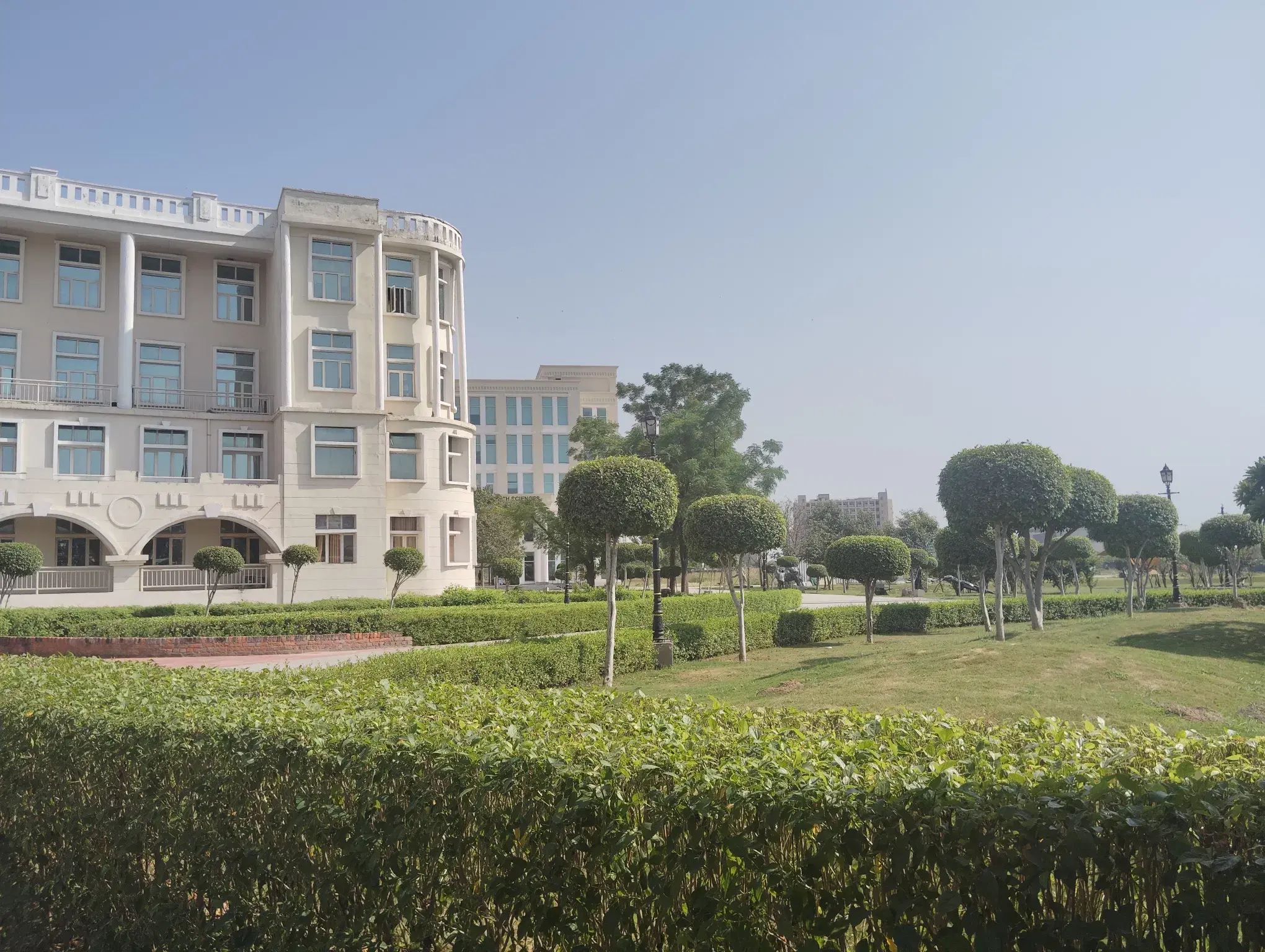 NIU Noida Campus photo 43